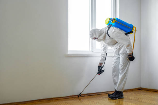 Best Affordable Pest Control Services  in Flora Vista, NM
